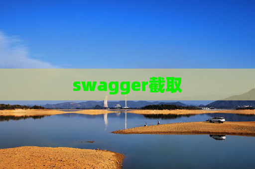 swagger截取